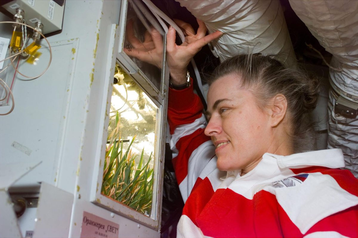 Shannon Lucid on Mir looking at wheat growing in a small greenhouse